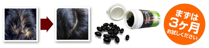 BOSTON(ボストン)