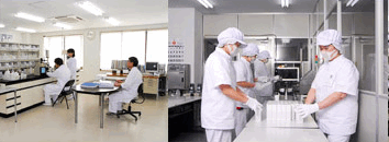 BOSTON(ボストン)の製造風景