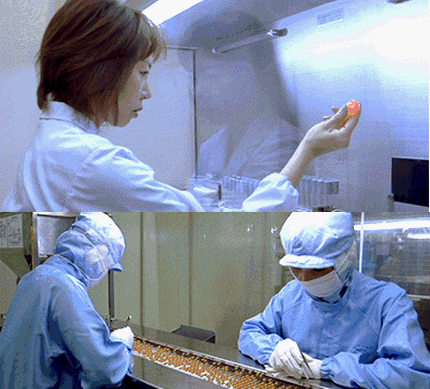 ダブルインパクトの品質管理風景